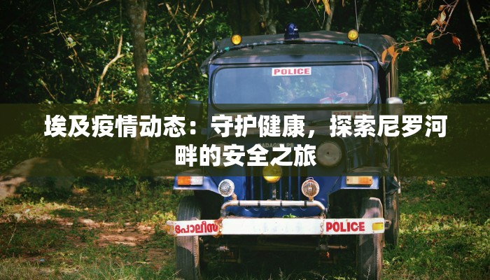 埃及疫情动态：守护健康，探索尼罗河畔的安全之旅