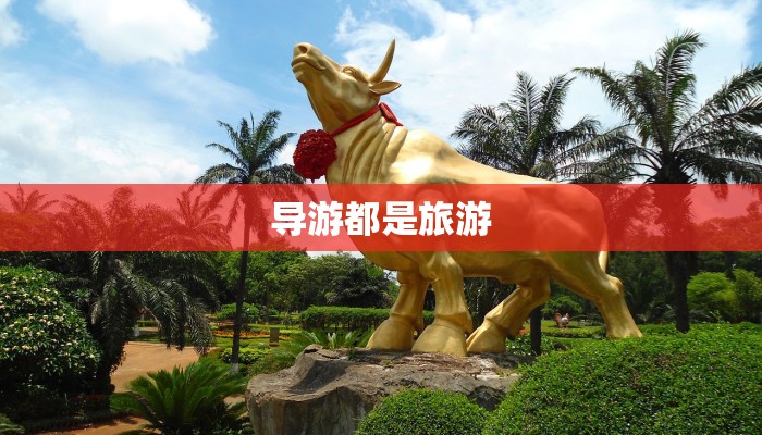 微博廊坊疫情最新：守护家园，科学防控，共克时艰