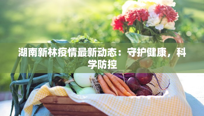 湖南新林疫情最新动态:守护健康,科学防控 湖南新林疫情最新动态:守护健康,科学防控