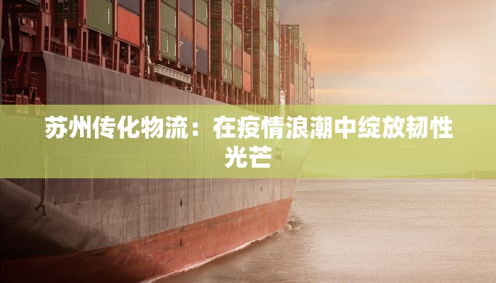 苏州传化物流:在疫情浪潮中绽放韧性光芒 苏州传化物流:在疫情浪潮中绽放韧性光芒