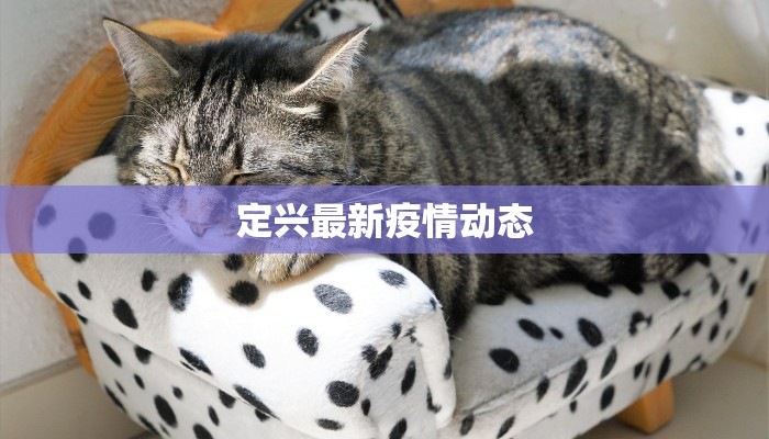 孤山子镇最新疫情防控:守护家园的温暖力量 孤山子镇最新疫情防控:守护家园的温暖力量