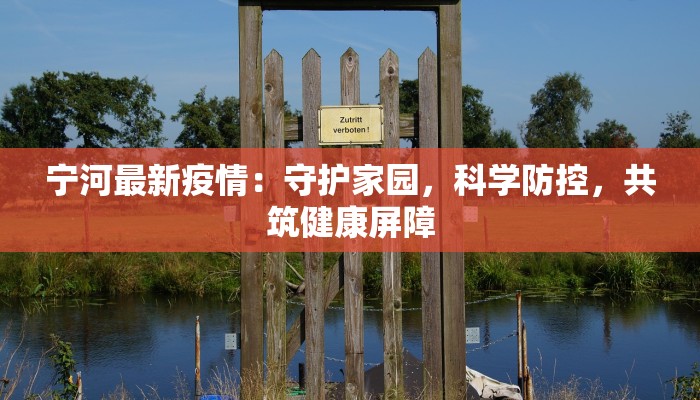 宁河最新疫情：守护家园，科学防控，共筑健康屏障