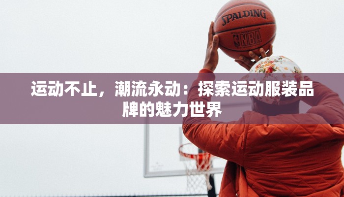 物流快递包晾衣架:创新设计,让生活更便捷 物流快递包晾衣架:创新设计,让生活更便捷