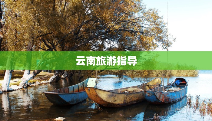 目前疫情汇总最新