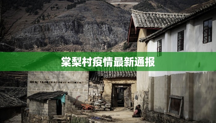 棠梨村疫情最新通报