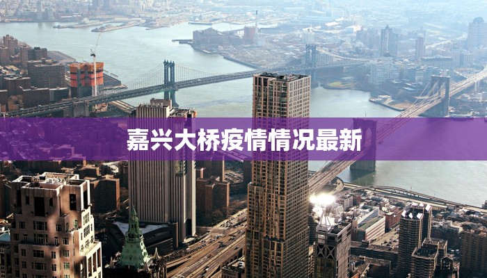 嘉兴大桥疫情情况最新