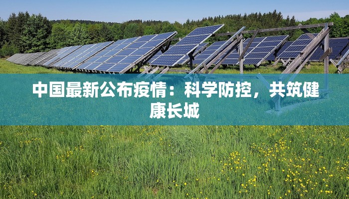 中国最新公布疫情：科学防控，共筑健康长城
