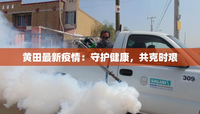 黄田最新疫情:守护健康,共克时艰 黄田最新疫情:守护健康,共克时艰
