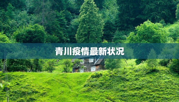青川疫情最新状况 青川疫情最新状况