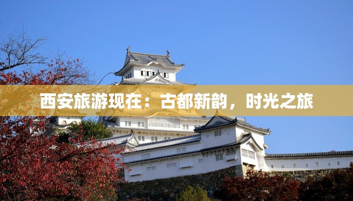 西安旅游现在：古都新韵，时光之旅