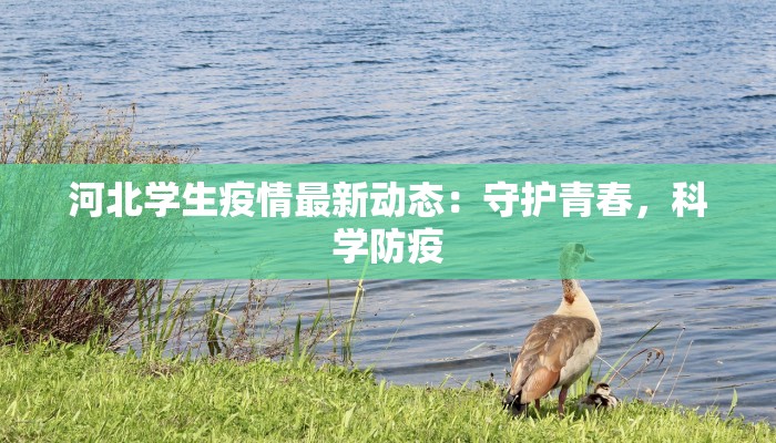 河北学生疫情最新动态:守护青春,科学防疫 河北学生疫情最新动态:守护青春,科学防疫