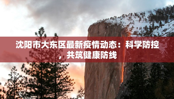沈阳市大东区最新疫情动态：科学防控，共筑健康防线