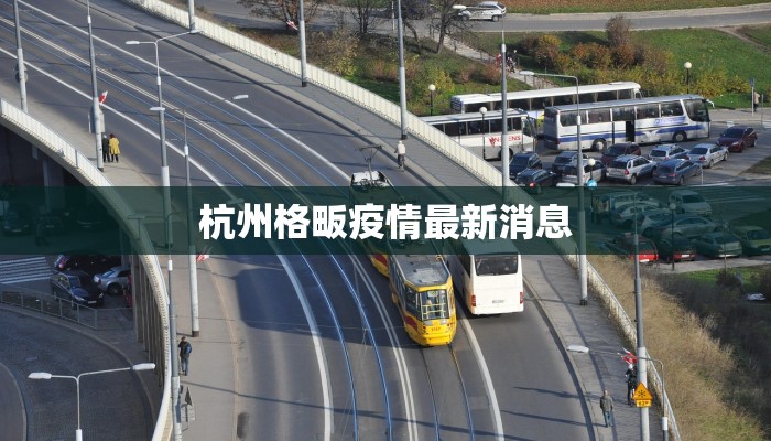 杭州格畈疫情最新消息 杭州格畈疫情最新消息