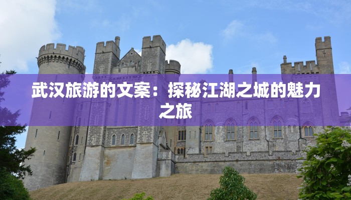 南美最新疫情通报 南美最新疫情通报