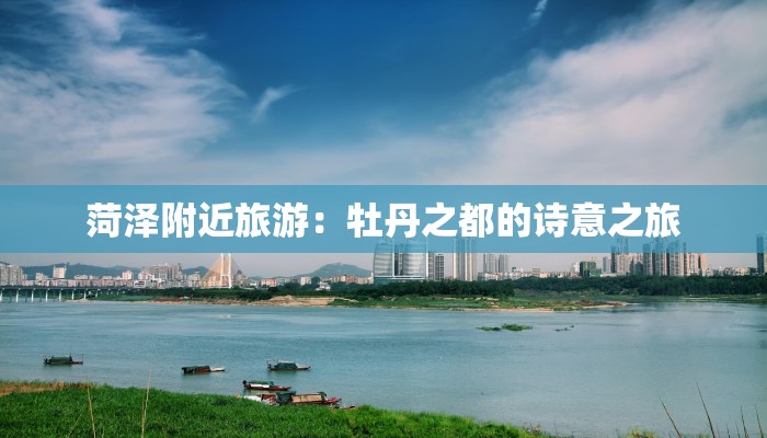 菏泽附近旅游:牡丹之都的诗意之旅 菏泽附近旅游:牡丹之都的诗意之旅