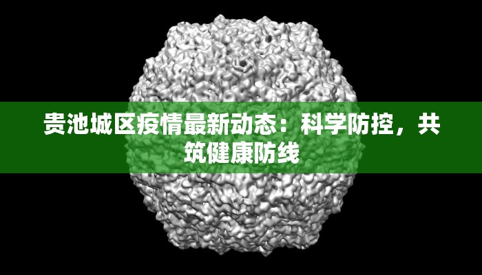 贵池城区疫情最新动态:科学防控,共筑健康防线 贵池城区疫情最新动态:科学防控,共筑健康防线