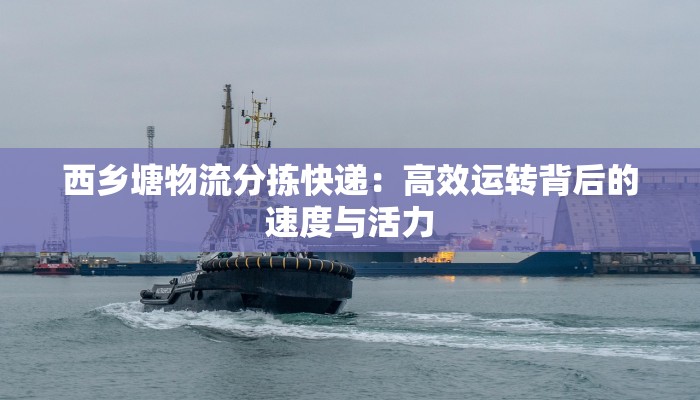 西乡塘物流分拣快递：高效运转背后的速度与活力