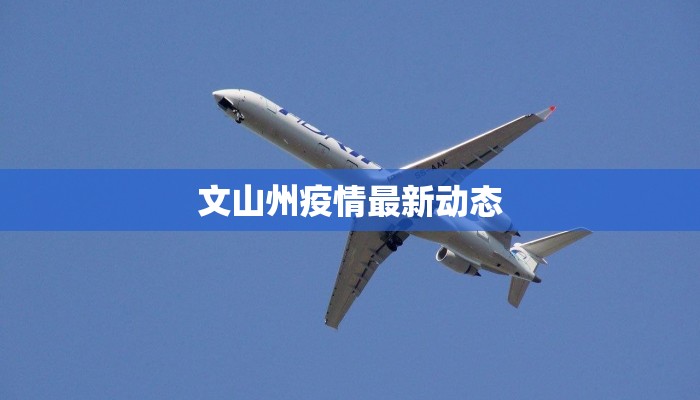 文山州疫情最新动态