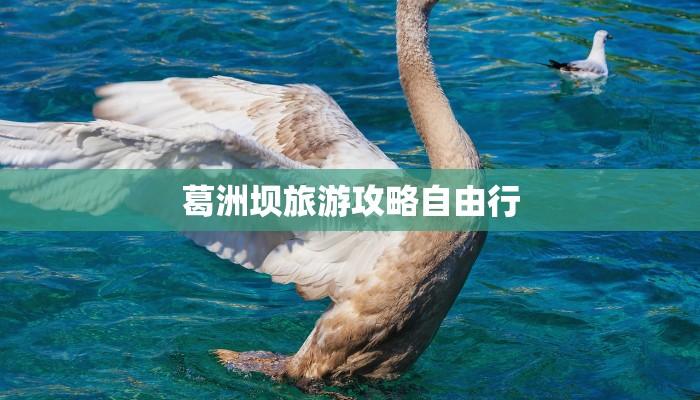 云南沙溪最新疫情通报