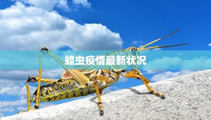 蝗虫疫情最新状况