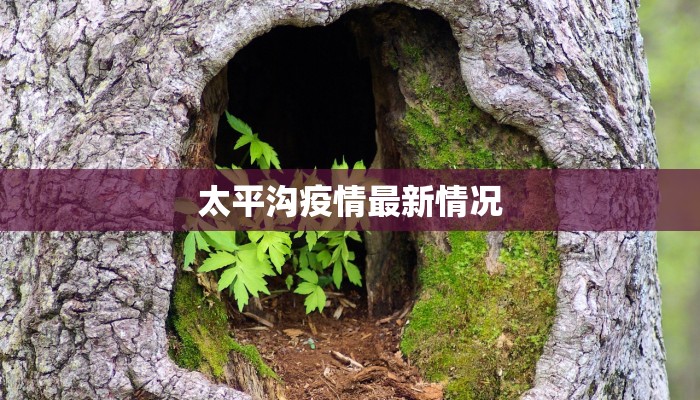 太平沟疫情最新情况 太平沟疫情最新情况