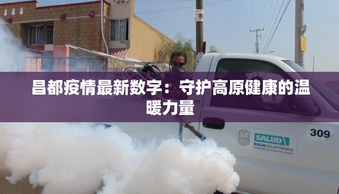 昌都疫情最新数字：守护高原健康的温暖力量