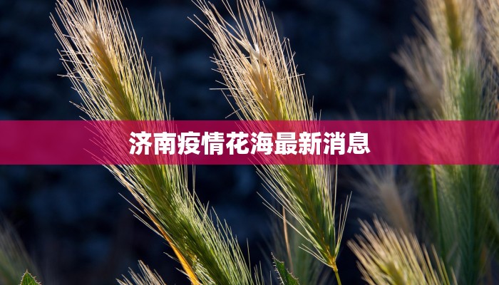 济南疫情花海最新消息