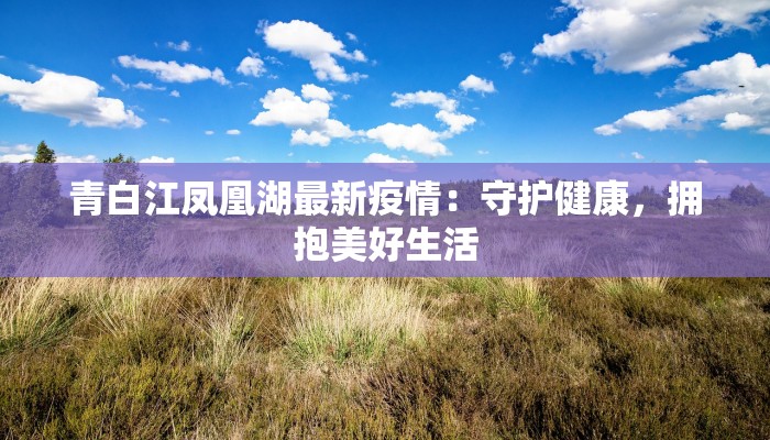 青白江凤凰湖最新疫情：守护健康，拥抱美好生活