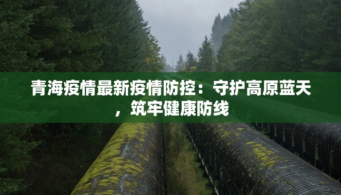 喀什疫情最新播报 喀什疫情最新播报