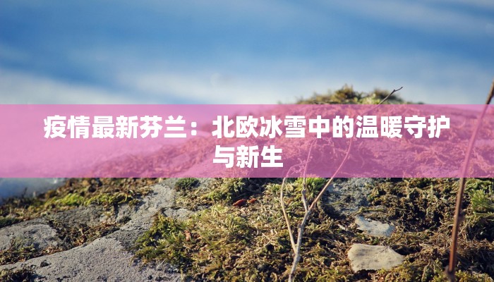 疫情最新芬兰：北欧冰雪中的温暖守护与新生