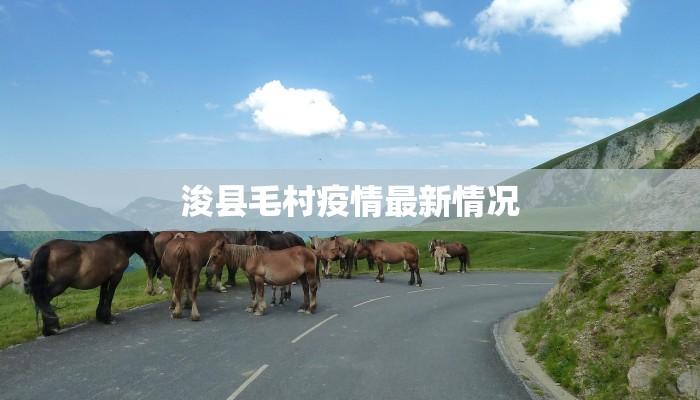 怀乡疫情最新报告 怀乡疫情最新报告