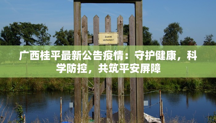 广西桂平最新公告疫情：守护健康，科学防控，共筑平安屏障