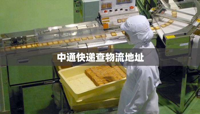 中通快递查物流地址 中通快递查物流地址