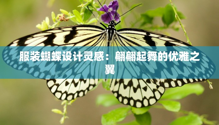 服装蝴蝶设计灵感：翩翩起舞的优雅之翼