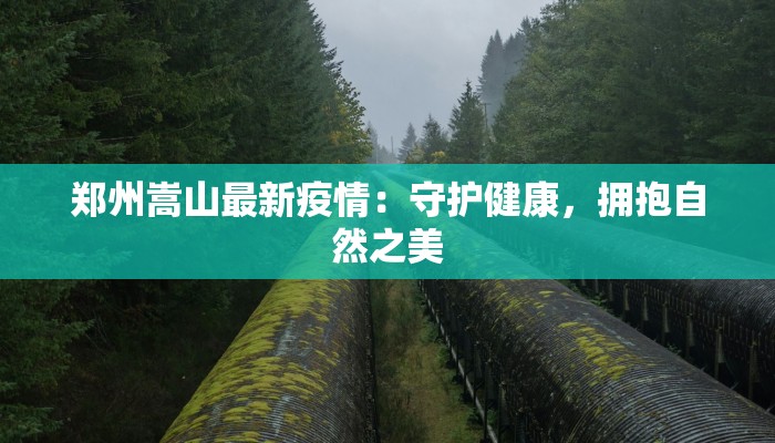 邮行李用物流还是快递？揭秘最优出行方案