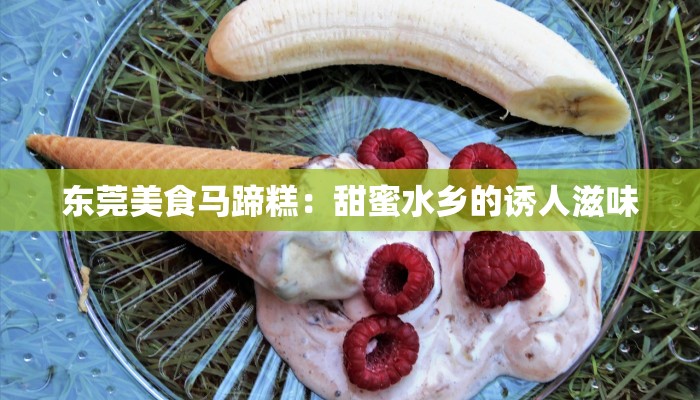东莞美食马蹄糕：甜蜜水乡的诱人滋味