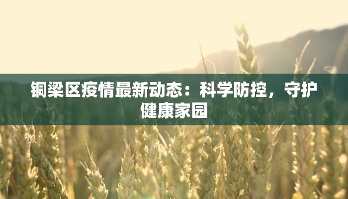 莒县棋山物流快递地址:高效便捷的物流新选择 莒县棋山物流快递地址:高效便捷的物流新选择