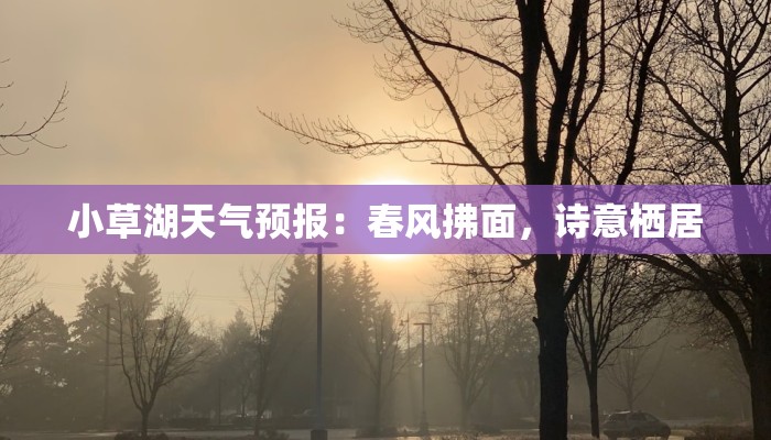 小草湖天气预报:春风拂面,诗意栖居 小草湖天气预报:春风拂面,诗意栖居