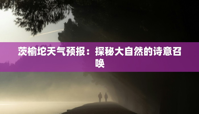 长沙美莱美团购：解锁美丽新境界，尽享高性价比蜕变之旅