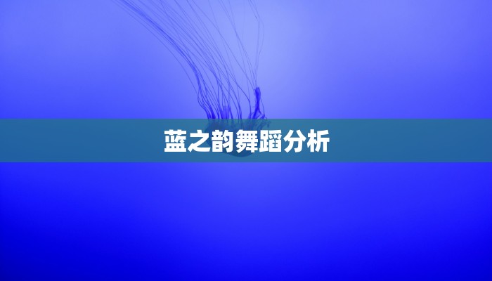 蓝之韵舞蹈分析 蓝之韵舞蹈分析