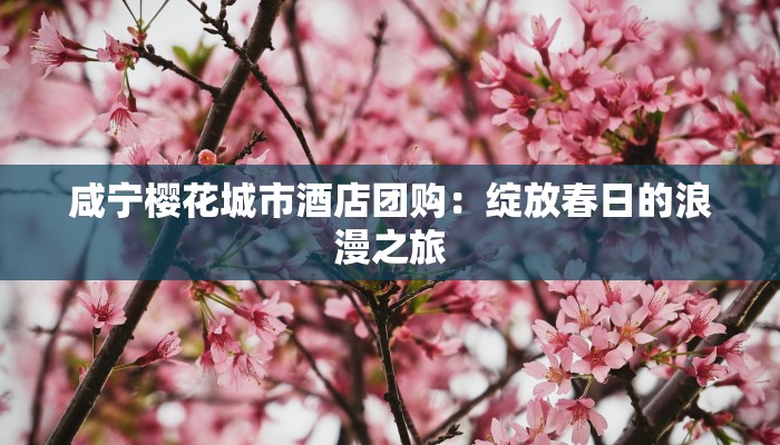 咸宁樱花城市酒店团购：绽放春日的浪漫之旅