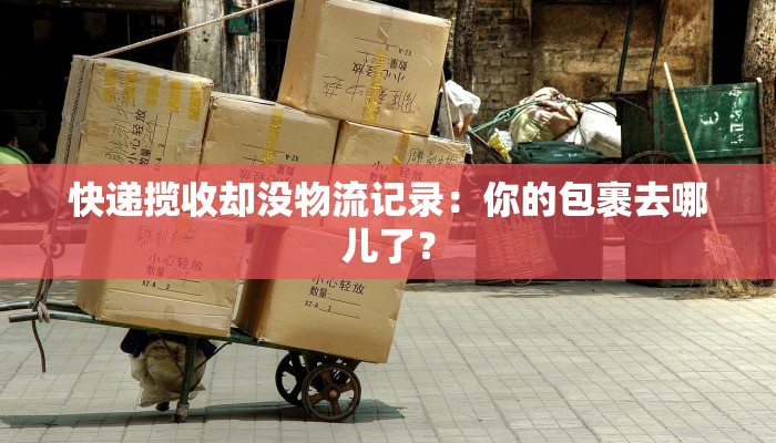 快递揽收却没物流记录：你的包裹去哪儿了？