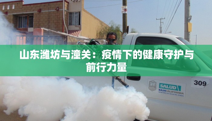 山东潍坊与潼关：疫情下的健康守护与前行力量