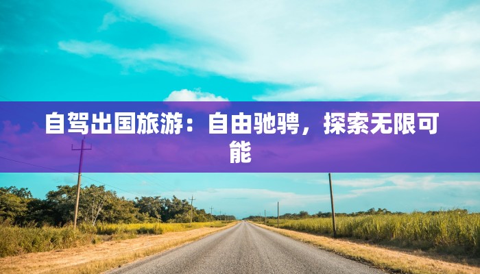 自驾出国旅游：自由驰骋，探索无限可能