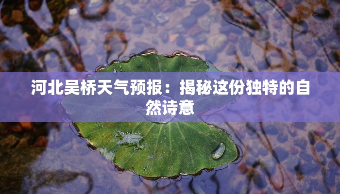 河北吴桥天气预报:揭秘这份独特的自然诗意 河北吴桥天气预报:揭秘这份独特的自然诗意