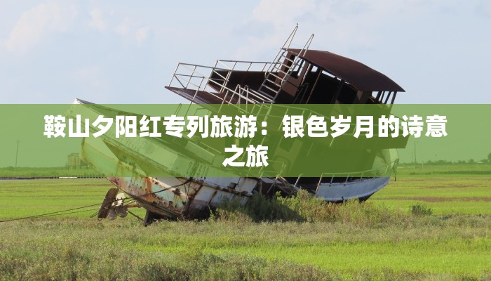 鞍山夕阳红专列旅游：银色岁月的诗意之旅