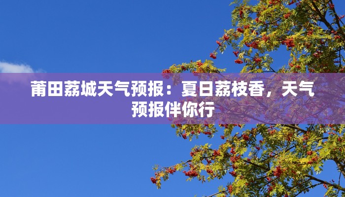 深圳服装进货经验：新手必备的实用指南