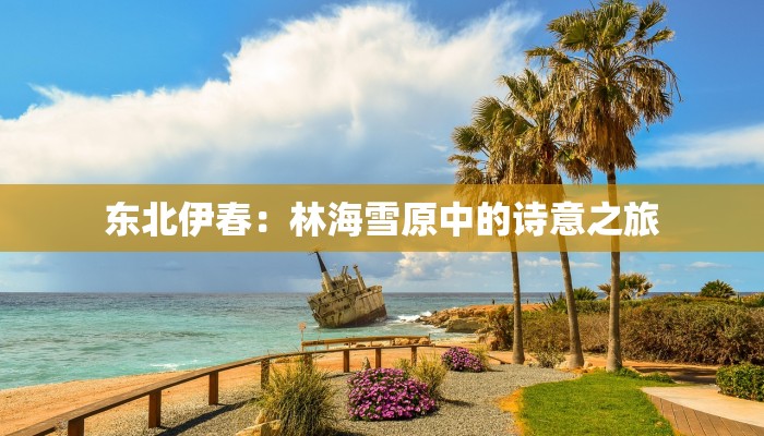 东北伊春:林海雪原中的诗意之旅 东北伊春:林海雪原中的诗意之旅